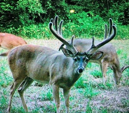 Farm and Ranch for sale in Hinds County, Mississippi