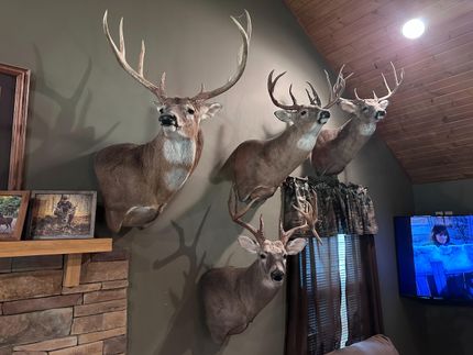 Farm and Ranch for sale in Williamson County, Illinois