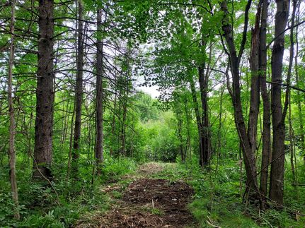 Farm and Ranch for sale in Price County, Wisconsin