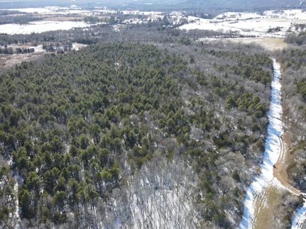 Undeveloped Land in Van Buren County, Arkansas