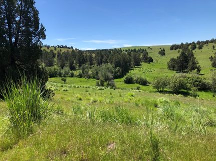 Land for sale in Grant County, Oregon