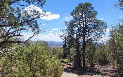 Farm and Ranch in Coconino County, Arizona