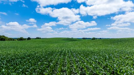 Recreational Property for sale in Otter Tail County, Minnesota