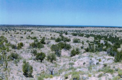 Farm and Ranch for sale in Apache County, Arizona