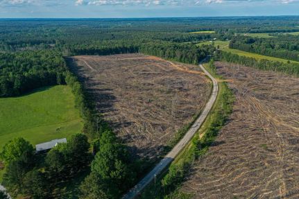 Timberland Property for sale in Pontotoc County, Mississippi