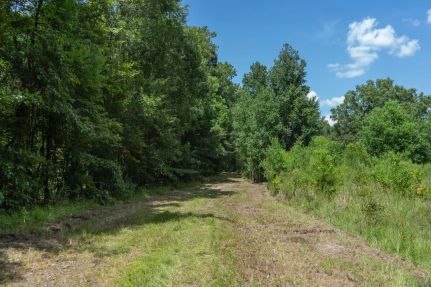 Hunting Property for sale in Ouachita Parish, Louisiana