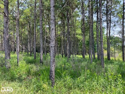 Farm and Ranch for sale in George County, Mississippi