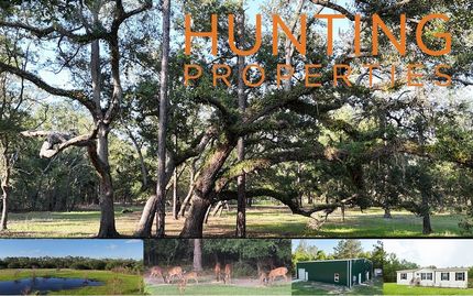 Undeveloped Land for sale in Columbia County, Florida