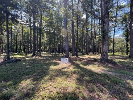 Farm and Ranch for sale in Sabine Parish, Louisiana