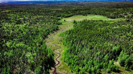 Farm and Ranch for sale in Washington County, Maine