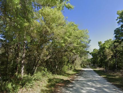 Farm and Ranch for sale in Dixie County, Florida