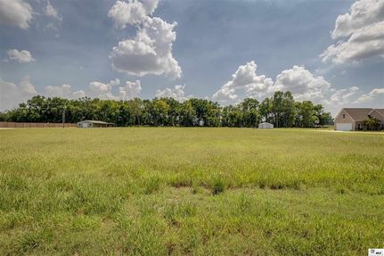 Undeveloped Land for sale in Richland Parish, Louisiana