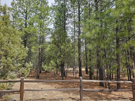 Farm and Ranch for sale in Coconino County, Arizona