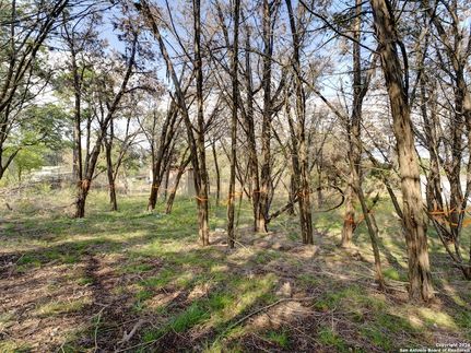 Farm and Ranch for sale in Comal County, Texas