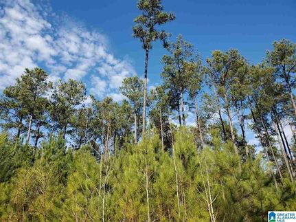 Farm and Ranch for sale in Shelby County, Alabama