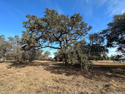 Undeveloped Land for sale in Atascosa County, Texas