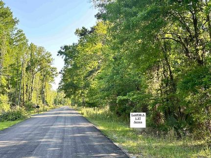 Recreational Property for sale in Ascension Parish, Louisiana