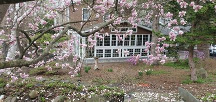 Horse Property for sale in Schoharie County, New York