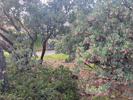 Recreational Property for sale in Fresno County, California