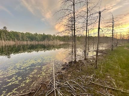 Recreational Property for sale in Luce County, Michigan