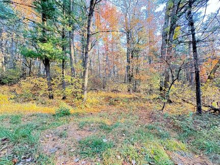 Farm and Ranch for sale in Newaygo County, Michigan