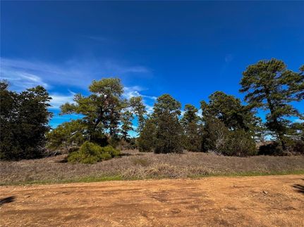 Farm and Ranch for sale in Bastrop County, Texas