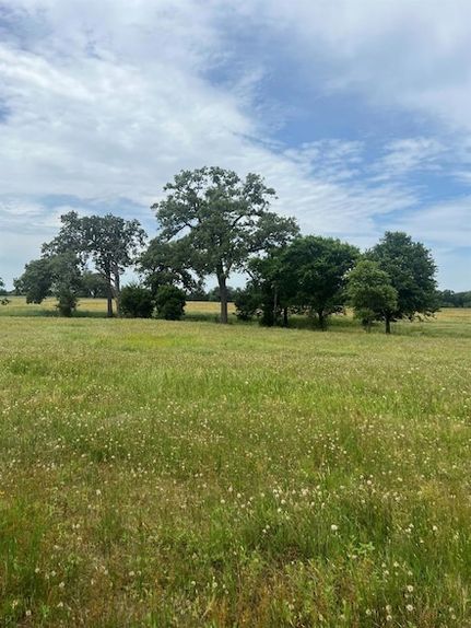 Undeveloped Land for sale in Bastrop County, Texas