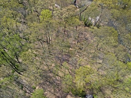 Undeveloped Land for sale in Hunterdon County, New Jersey