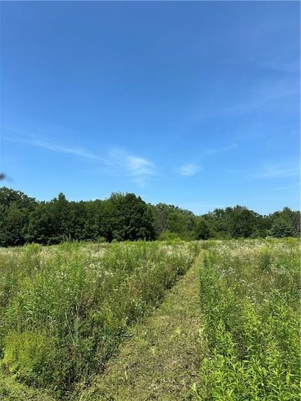 Undeveloped Land for sale in Chippewa County, Wisconsin