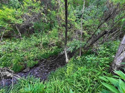 Recreational Property for sale in Wise County, Virginia