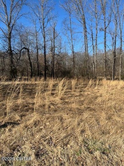 Farm and Ranch for sale in Henry County, Tennessee