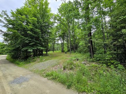 Timberland Property for sale in Waldo County, Maine
