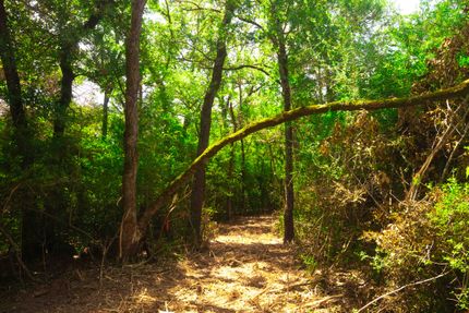 Land for sale in Robertson County, Texas