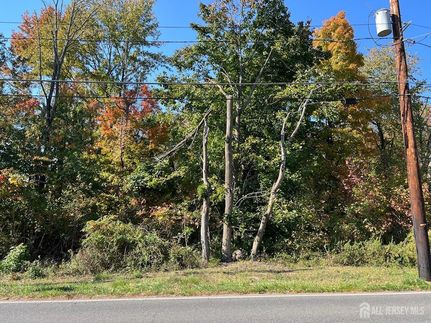 Timberland Property for sale in Middlesex County, New Jersey