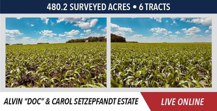Farm and Ranch for sale in Renville County, Minnesota