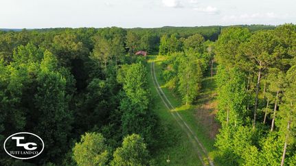 Undeveloped Land for sale in Tuscaloosa County, Alabama
