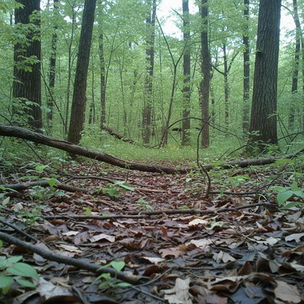Farm and Ranch for sale in Putnam County, Tennessee