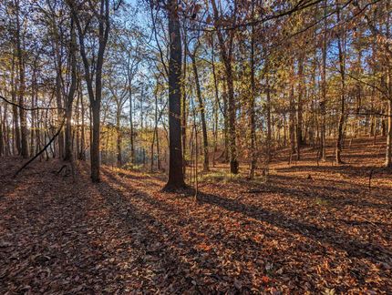 Land for sale in Amite County, Mississippi