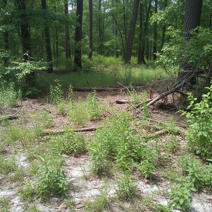 Undeveloped Land for sale in Florence County, South Carolina