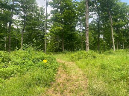 Farm and Ranch for sale in Allegany County, New York