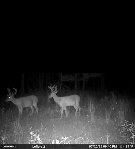 Recreational Property for sale in Leflore County, Mississippi