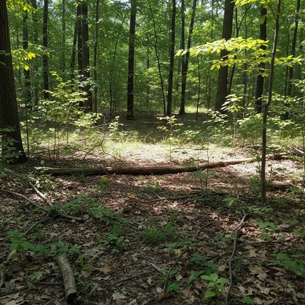 Farm and Ranch for sale in Baxter County, Arkansas