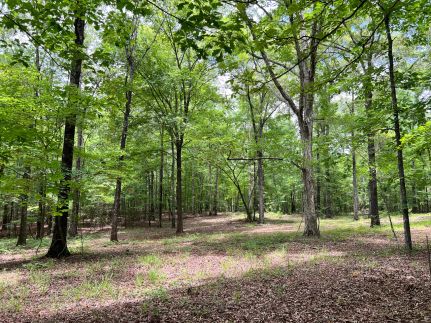 Recreational Property for sale in Tallapoosa County, Alabama
