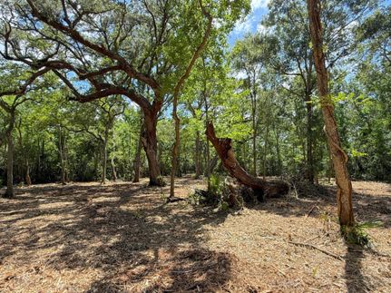 Timberland Property for sale in Brazoria County, Texas