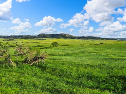 Timberland Property for sale in Elbert County, Colorado