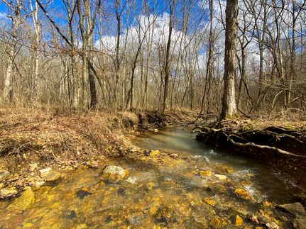 Farm and Ranch for sale in Howell County, Missouri