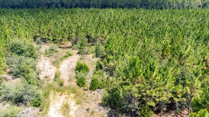 Timberland Property in Jackson County, Florida