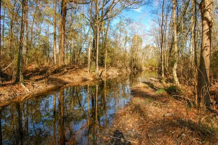 Timberland Property in Jackson County, Florida