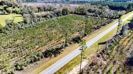 Undeveloped Land for sale in Washington County, Florida