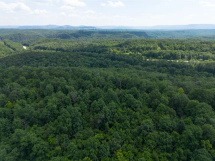 Commercial Property for sale in Searcy County, Arkansas